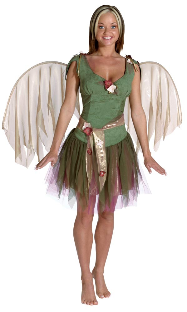 fairy costumes